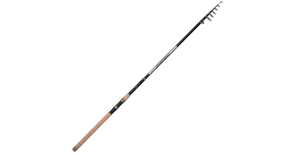 SPRO - Prut Dyno Force Tele 3 m 40-80 g