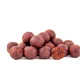 SQUAT CARP - Active Boilies 20 mm 5 kg Bloody Mullberry