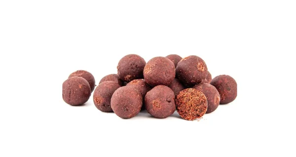 SQUAT CARP - Active Boilies 24 mm 1 kg Big Boss