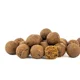 SQUAT CARP - Active Boilies 24 mm 1 kg Calanus