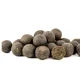 SQUAT CARP - Active Boilies 24 mm 5 kg Anchovy+