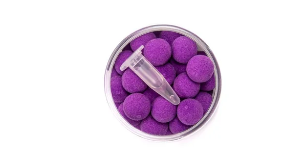 SQUAT CARP - Boilies Pop Up 16 mm 60 g Plum Jam
