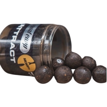 SQUAT CARP - Boilies v dipu Hi-Attract Anchovy 18 mm 220 g