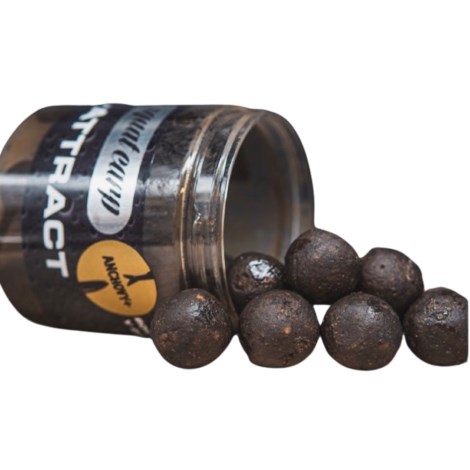 SQUAT CARP - Boilies v dipu Hi-Attract Anchovy 18 mm 220 g