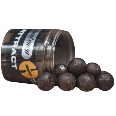 SQUAT CARP - Boilies v dipu Hi-Attract Anchovy+ 220 g 18 mm