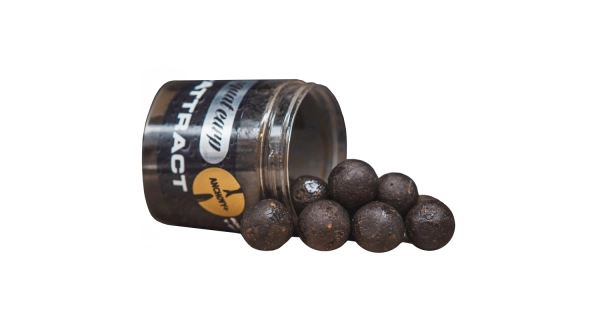 SQUAT CARP - Boilies v dipu Hi-Attract Anchovy+ 220 g 24 mm