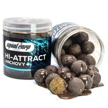 SQUAT CARP - Boilies v dipu Hi-Attract Anchovy+ 220 g 24 mm
