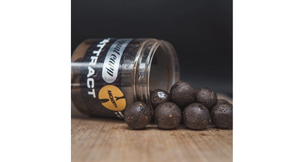 SQUAT CARP - Boilies v dipu Hi-Attract Anchovy+ 220 g 24 mm