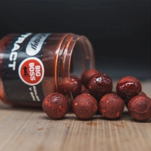 SQUAT CARP - Boilies v dipu Hi-Attract Big Boss 220 g 24 mm