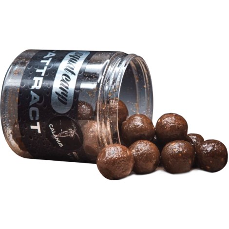 SQUAT CARP - Boilies v dipu Hi-Attract Calanus 220 g 20 mm