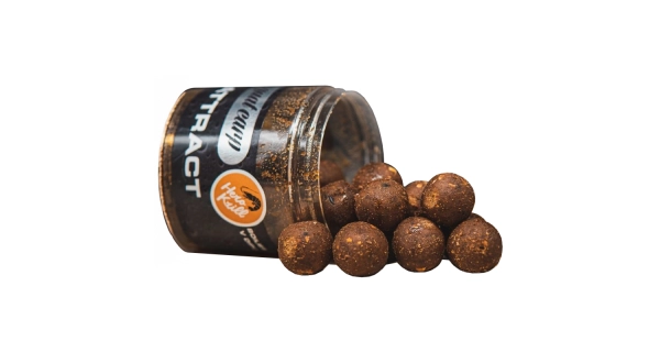 SQUAT CARP - Boilies v dipu Hi-Attract Hero Krill 220 g 24 mm