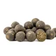 SQUAT CARP - Hotové boilies Anchovy+ 1 kg 20 mm