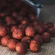 SQUAT CARP - Hotové boilies Big Boss 1 kg 30 mm