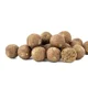 SQUAT CARP - Hotové boilies Calanus 5 kg 24 mm