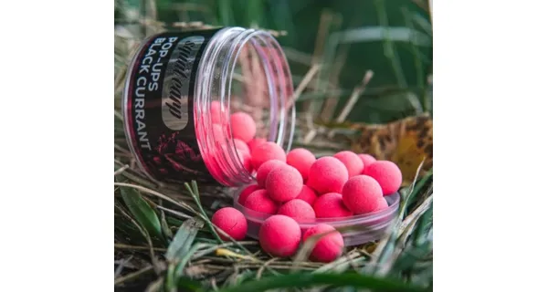 SQUAT CARP - Plovoucí Boilies Pop-Up BlackCurrant 60 g 12 mm