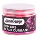 SQUAT CARP - Plovoucí Boilies Pop-Up BlackCurrant 60 g 16 mm