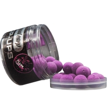 SQUAT CARP - Pop Up 16 mm 60 g Plum Jam
