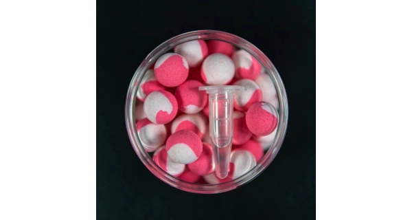 SQUAT CARP - Pop Up 16 mm 60 g Strawberry Lollipop
