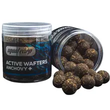 SQUAT CARP - Rozpustné neutrálně vyvážené boilies Active Wafters Anchovy+ 20 mm 150 g