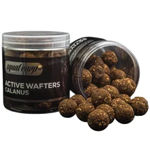 SQUAT CARP - Rozpustné neutrálně vyvážené boilies Active Wafters Calanus 24 mm 150 g