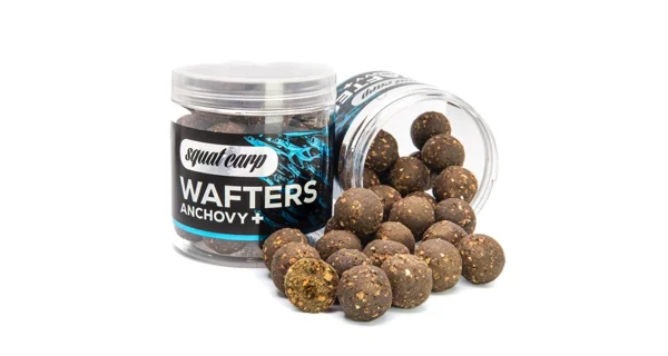 SQUAT CARP - Vyvážené boilie Wafters Anchovy+ 24 mm