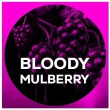 SQUAT CARP - Vyvážené boilie Wafters Bloody Mulberry 20 mm