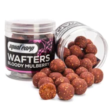 SQUAT CARP - Vyvážené boilie Wafters Bloody Mulberry 24 mm
