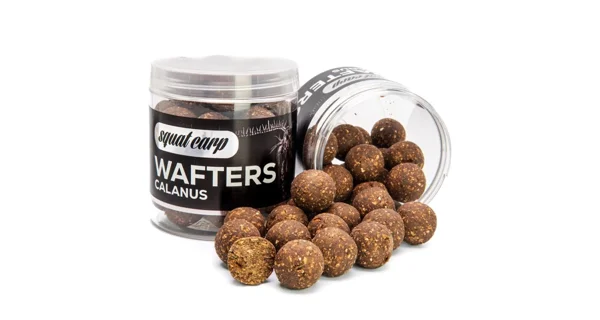 SQUAT CARP - Vyvážené boilie Wafters Calanus 20 mm