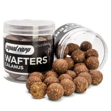 SQUAT CARP - Vyvážené boilie Wafters Calanus 24 mm