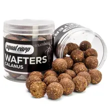 SQUAT CARP - Vyvážené boilie Wafters Calanus 24 mm