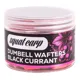 SQUAT CARP -  Wafters Dumbells BlackCurrant 10x16 mm