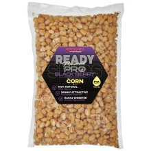 STARBAITS - Kukuřice Ready Seeds Pro Blackberry 1 kg