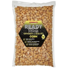 STARBAITS - Kukuřice Ready Seeds Pro Ginger Squid 1 kg