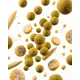 TB BAITS - Boilie 24 mm 2,5 kg Corn