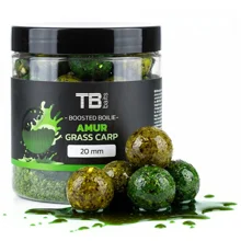 TB BAITS - Boosterované boilie Amur 24 mm 120 g