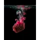 TB BAITS - Smoke Liquid Squid Strawberry 100 ml