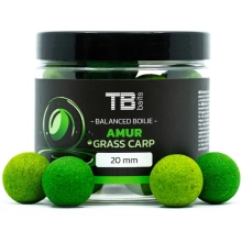 TB BAITS - Vyvážené boilie Balanced + Atraktor Amur 20 mm 100 g