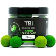 TB BAITS - Vyvážené boilie Balanced + Atraktor Amur 20 mm 100 g