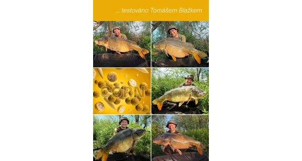 TB BAITS - Vyvážené boilie Balanced + Atraktor Corn 20 mm 100 g