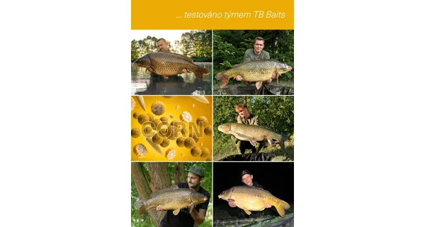 TB BAITS - Vyvážené boilie Balanced + Atraktor Corn 20 mm 100 g