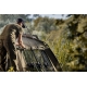 TRAKKER PRODUCTS - Úchyt na pruty - Tempest Multi-rod Support