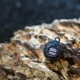 VAGNER - Zátěž Zombie Ball 140 g