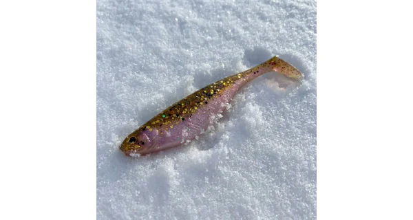 WESTIN - Adventní kalendář Predator Advent Calendar 2025