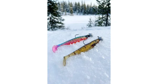 WESTIN - Adventní kalendář Premium Predator Advent Calendar 2025