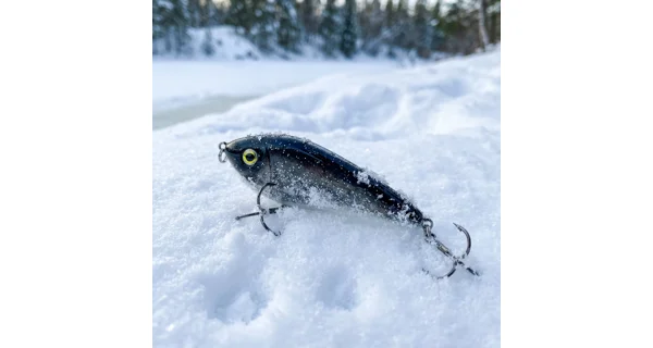 WESTIN - Adventní kalendář Premium Predator Advent Calendar 2025