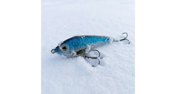 WESTIN - Adventní kalendář Premium Predator Advent Calendar 2025 + Naviják SPRO C-Tec Necton CR Reel Silver 4000