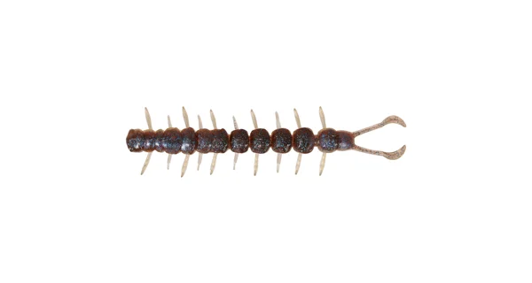 WESTIN - Gumová nástraha Cantipede Creaturebait 9,5 cm 4 g 4 ks Blue Rum