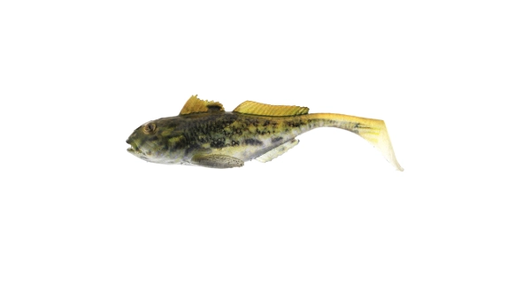 WESTIN - Gumová nástraha Gunnar The Goby Black Mouth 10 cm 12,8 g 2 ks