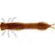 WESTIN - Gumová nástraha Odonata Ned Creaturebait 6,5 cm 2 g 4 ks Brown Shiner