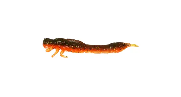 WESTIN - Gumová nástraha Odonata Ned Creaturebait 6,5 cm 2 g 4 ks Motoroil Moss
